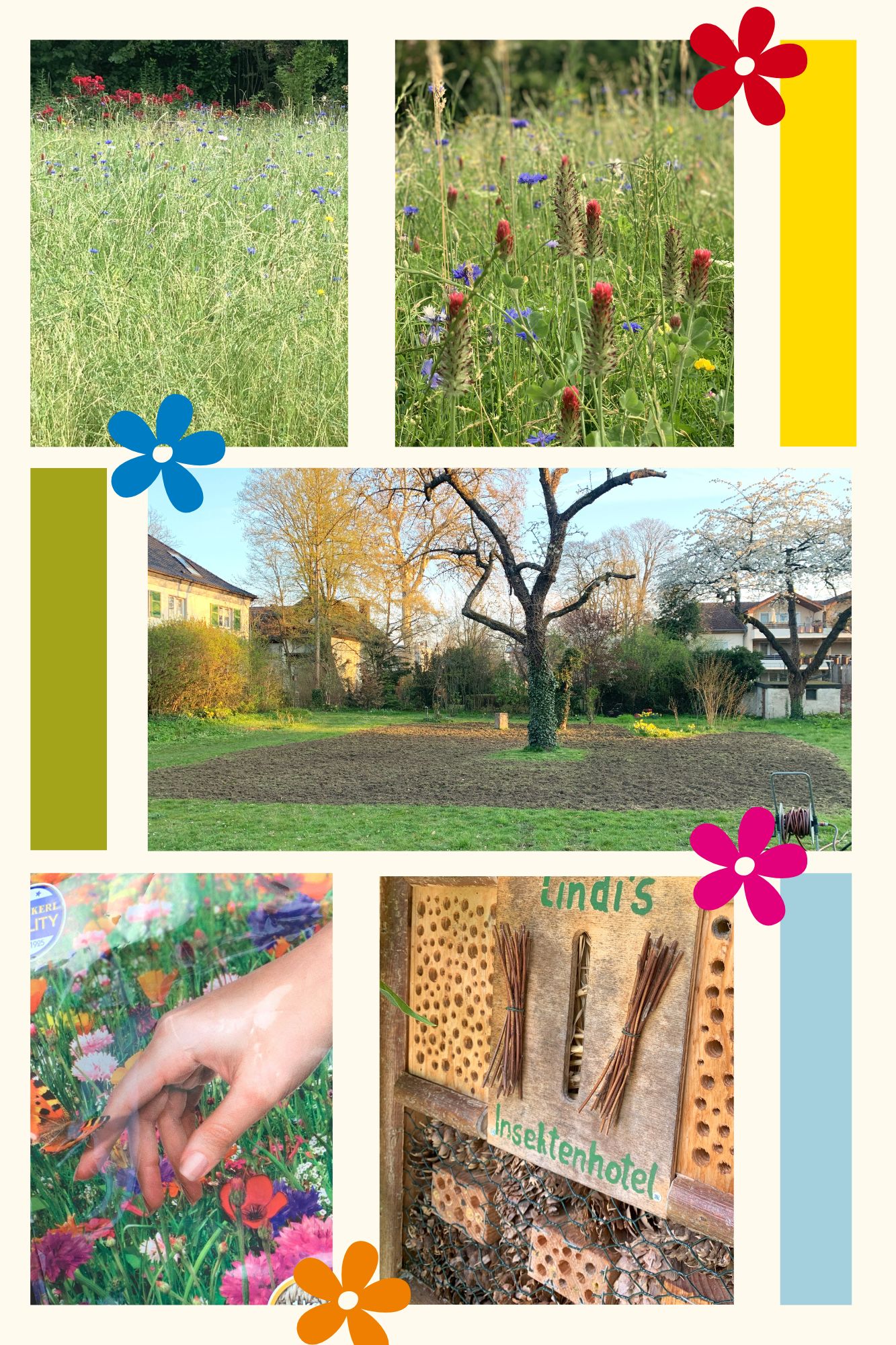 Von der Rasenfläche zur Artenfläche