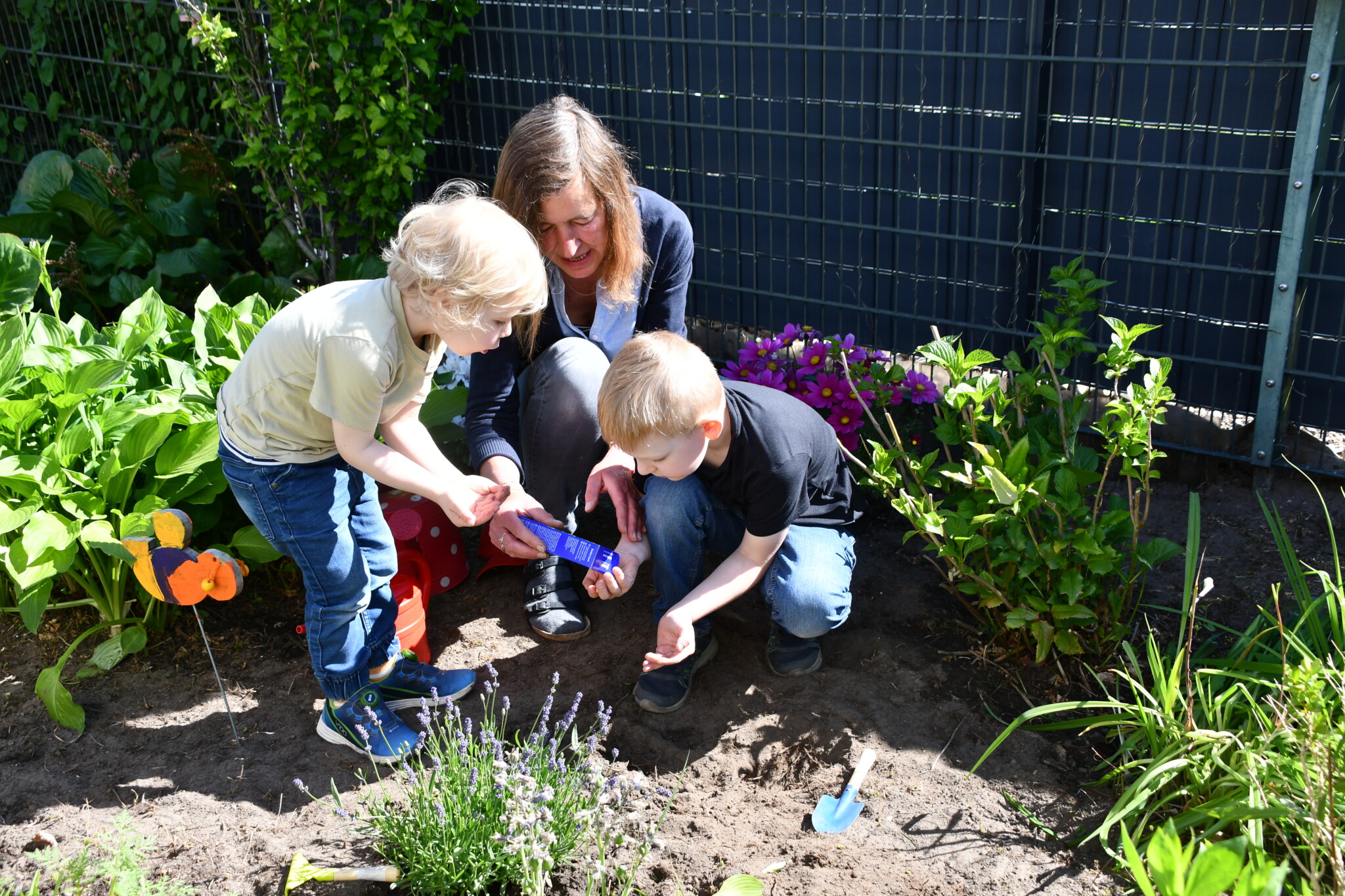Wir legen eine Bienenwiese an und bepflanzen unsere Hochbeete