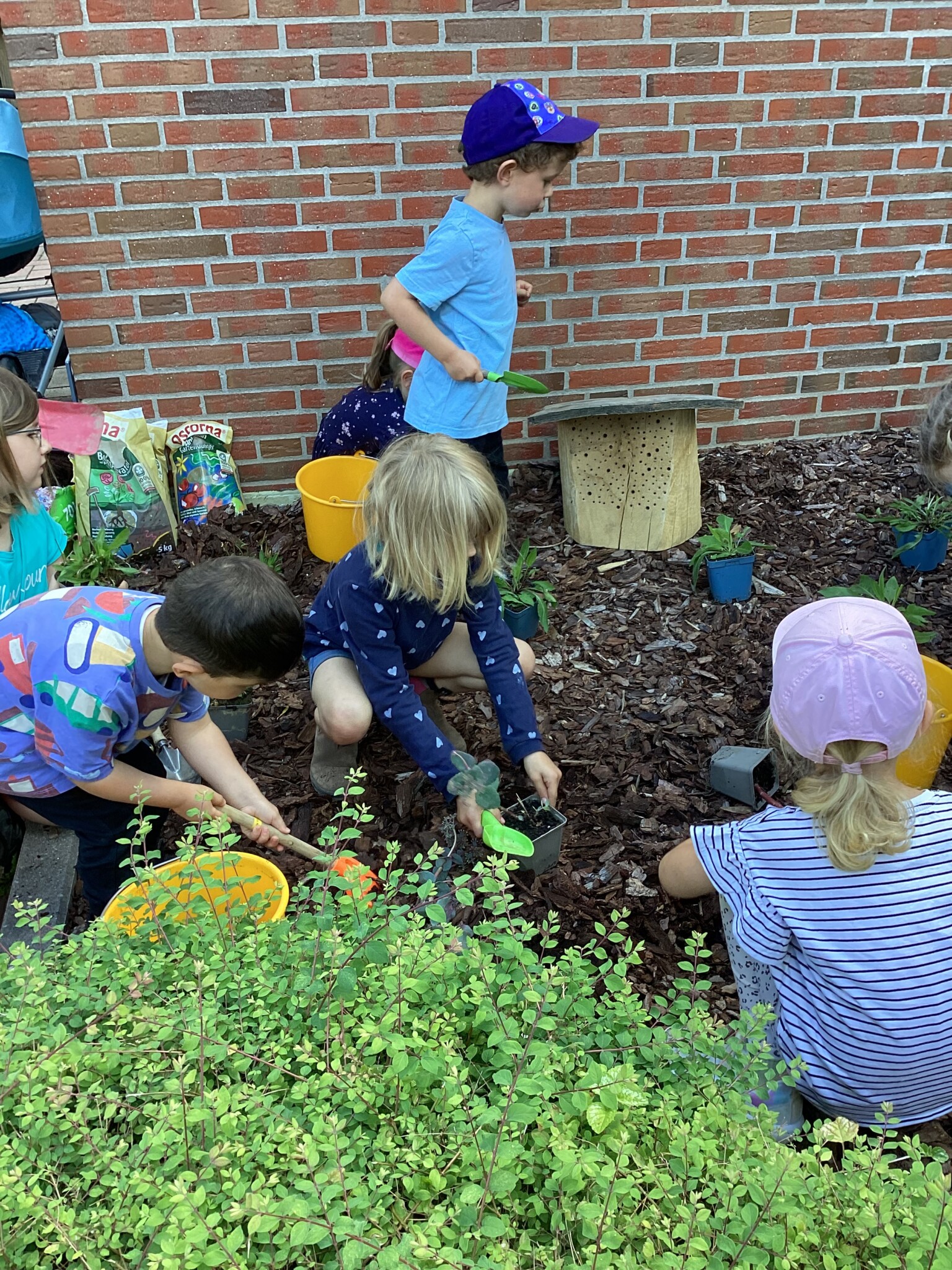 Auhäger Kita-Kinder lassen ihr Gelände aufblühen