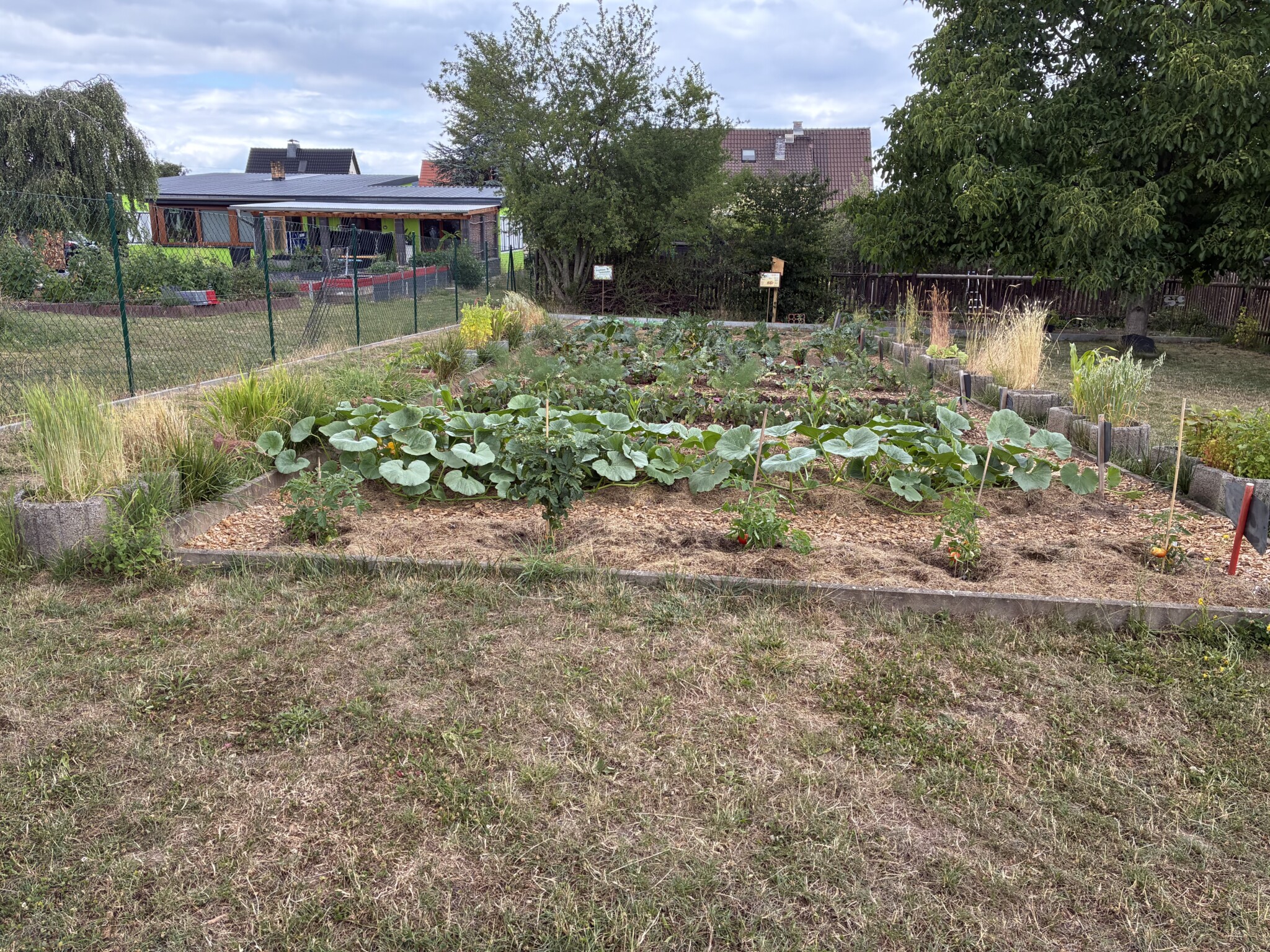 Wir gestalten ein Staudenbeet für Nützlinge in unserem Schulgarten