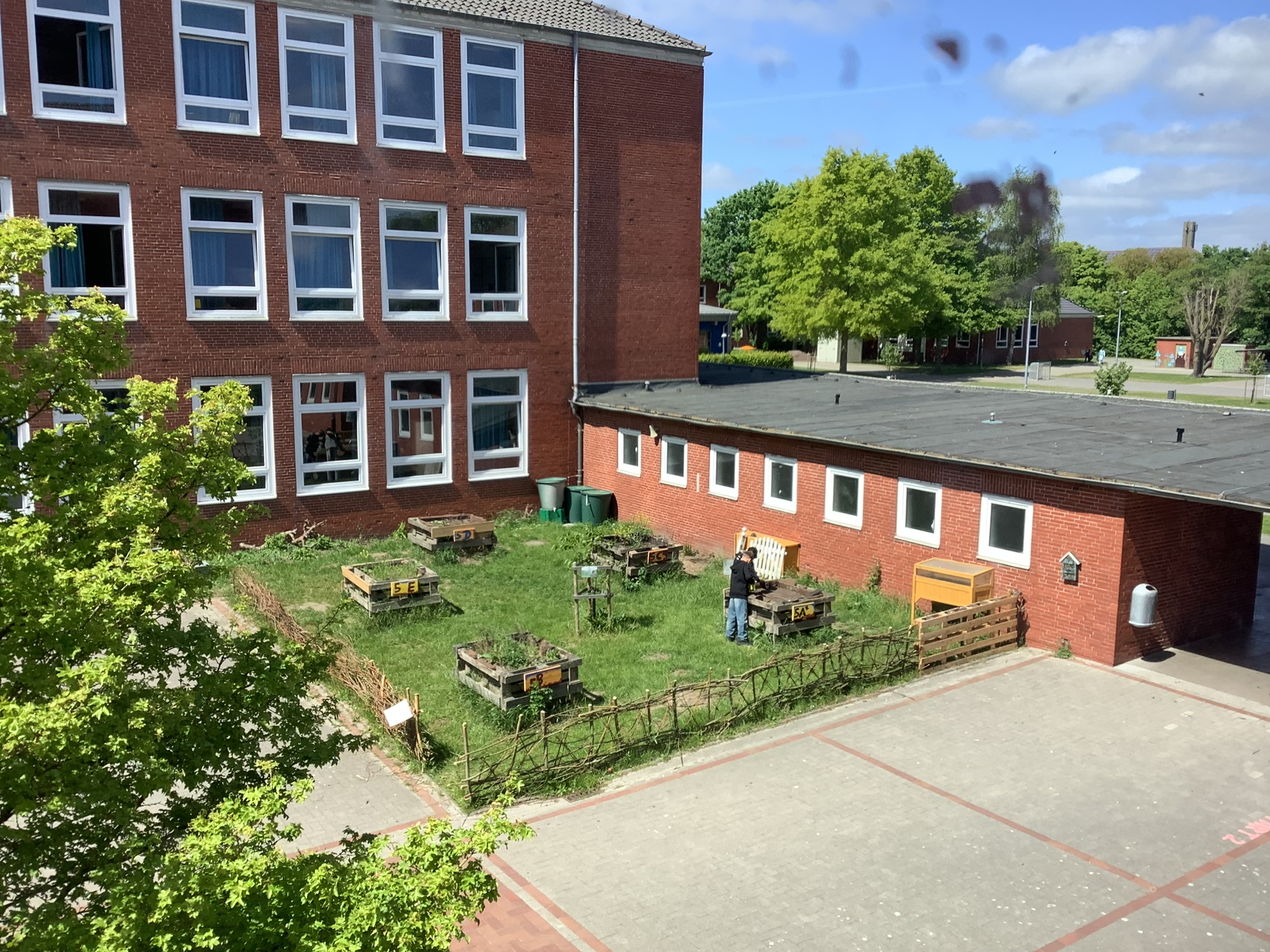 Die summende und blühende IGS Emden: Projekt 2: Wir gründen den Paletten-Schulgarten der IGS Emden