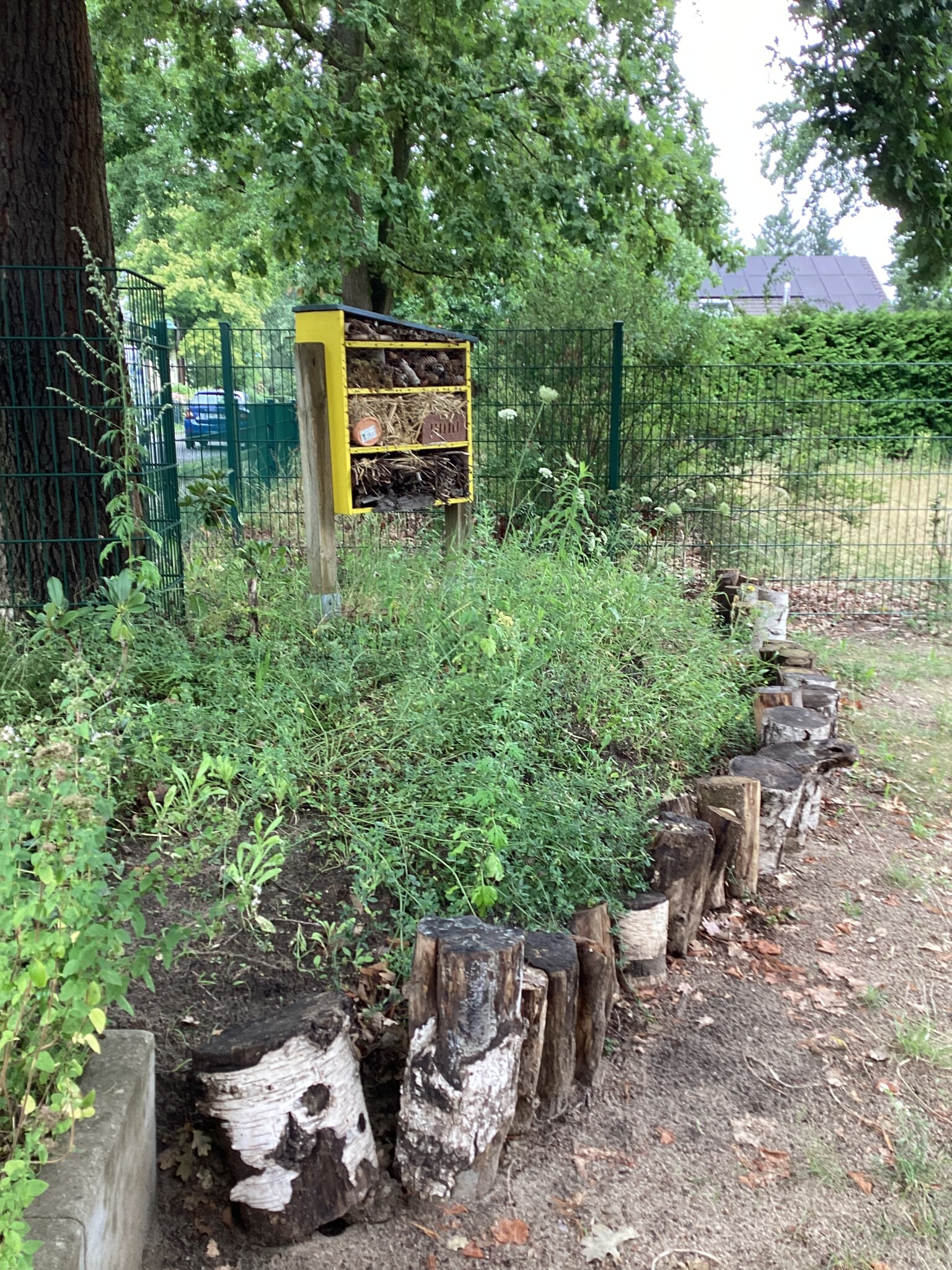 Wir reparieren ein Insektenhotel und was daraus entsteht?