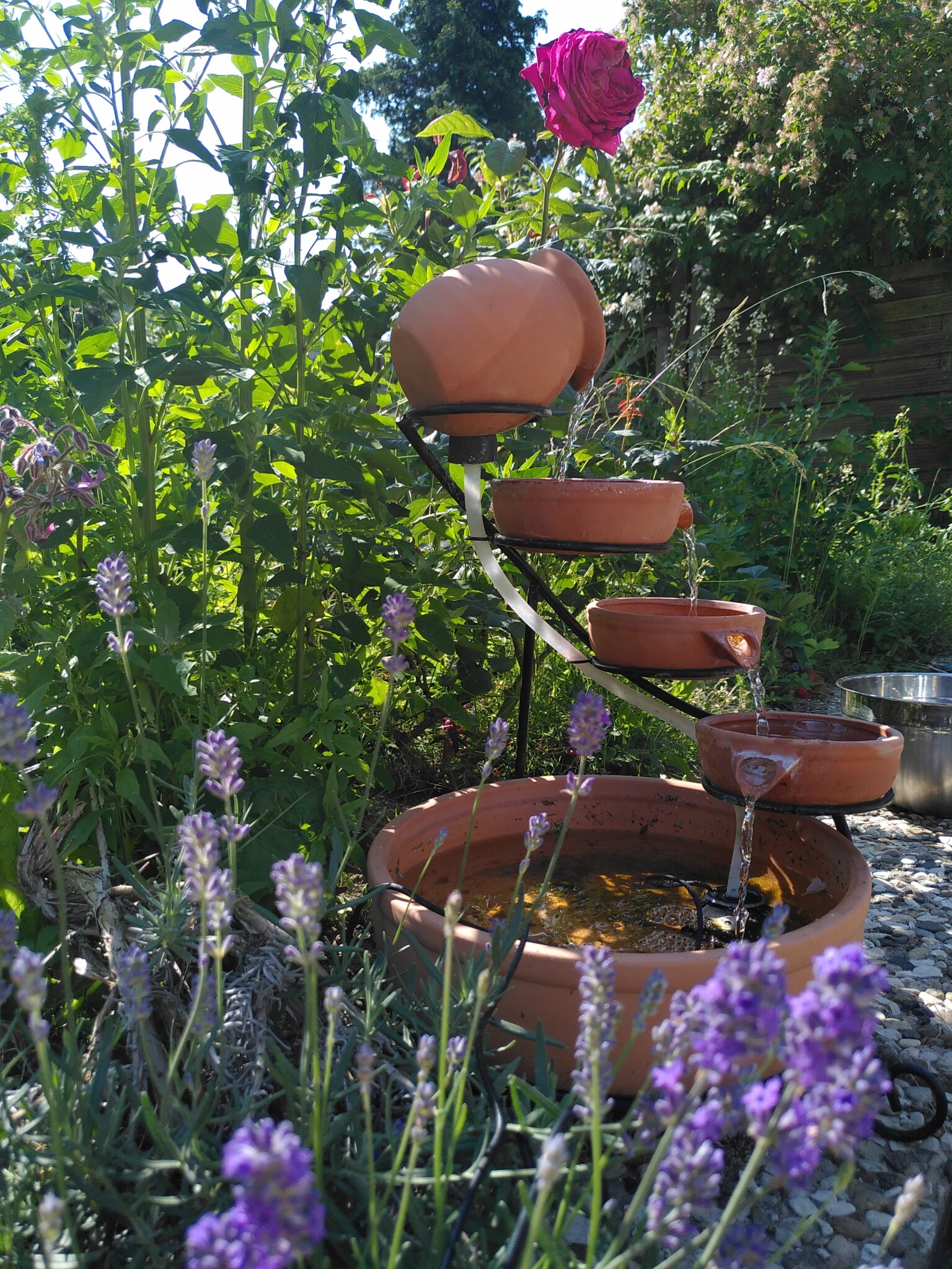 Vom "Panzer-" Parkplatz zum Lebenselixier