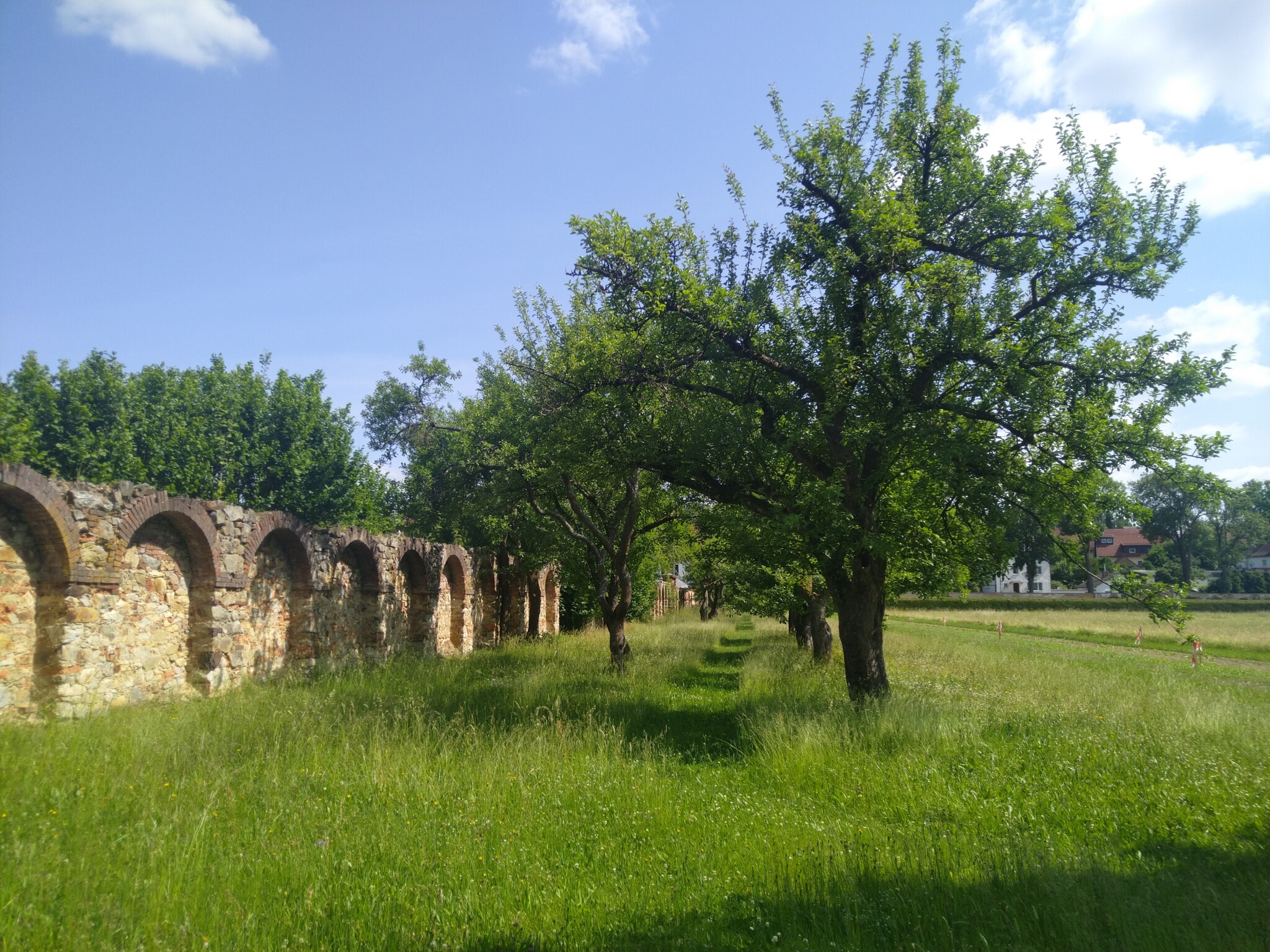 Artenvielfalt Streuobstanlage Kloster Waldsassen