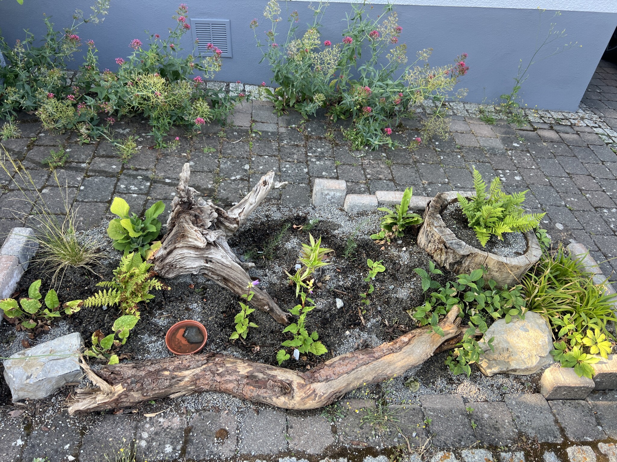 Von der Pflasterfläche zum Waldbeet