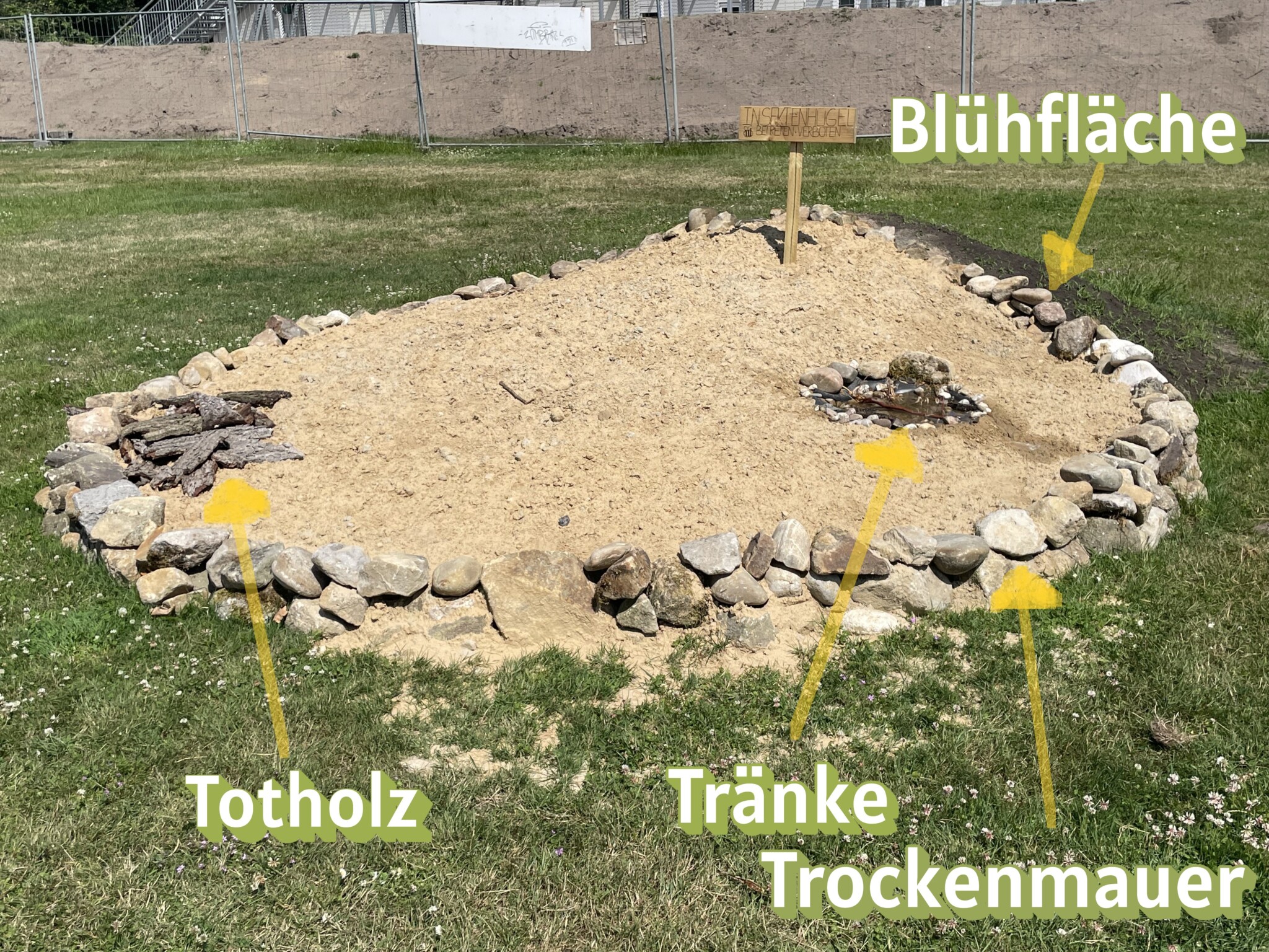 Insektenhügel mit Trockenmauer für den Schulgarten