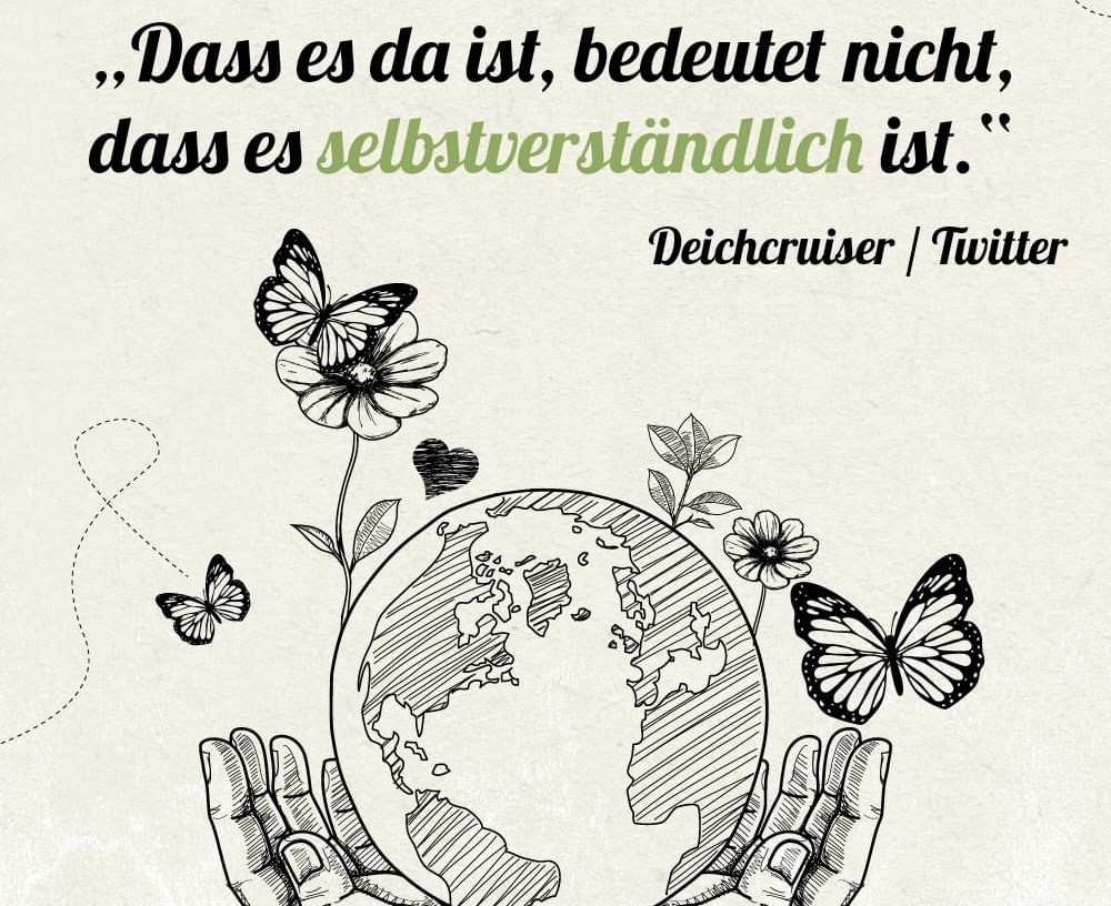 Von der Fliederinvasion zur Insektenoase