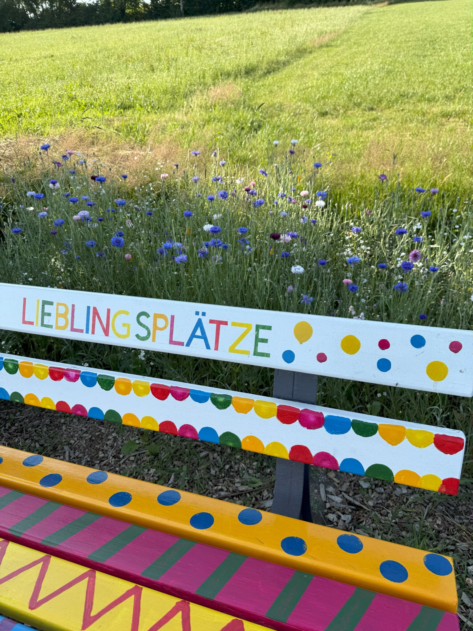 Kleine Hände schaffen Lieblingsplatz- Begegnungspunkt für Mensch und Tier!