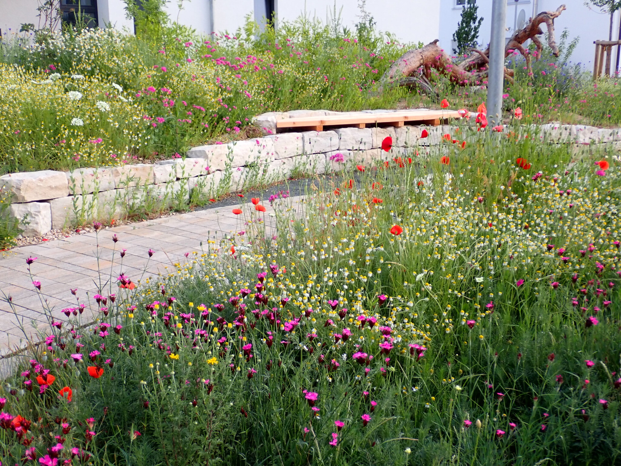 Pico-Park Röttenbach-Mühlstetten