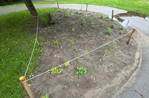 Alles für unsere Insekten