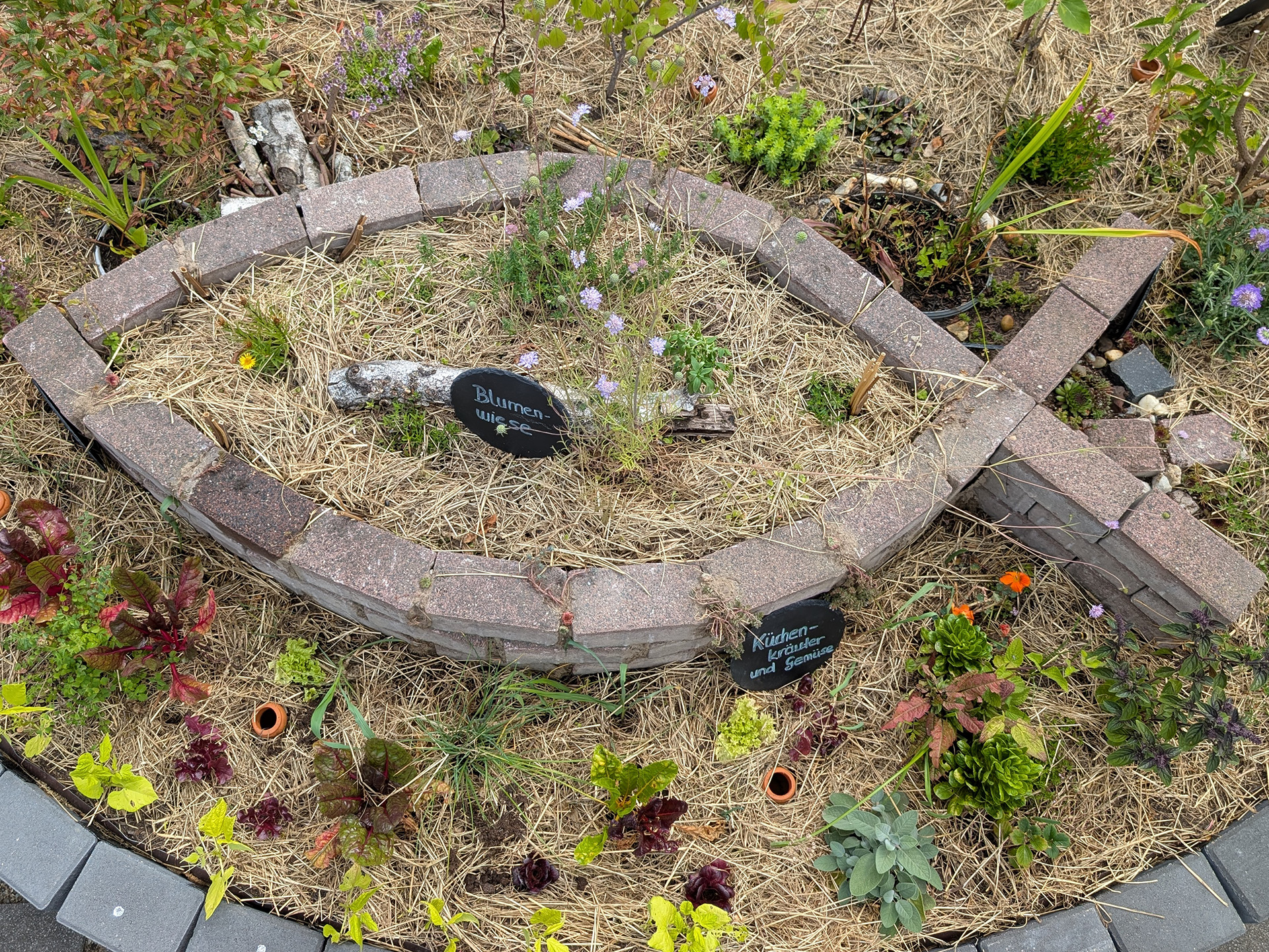 Wo Glaube blüht und Bienen summen