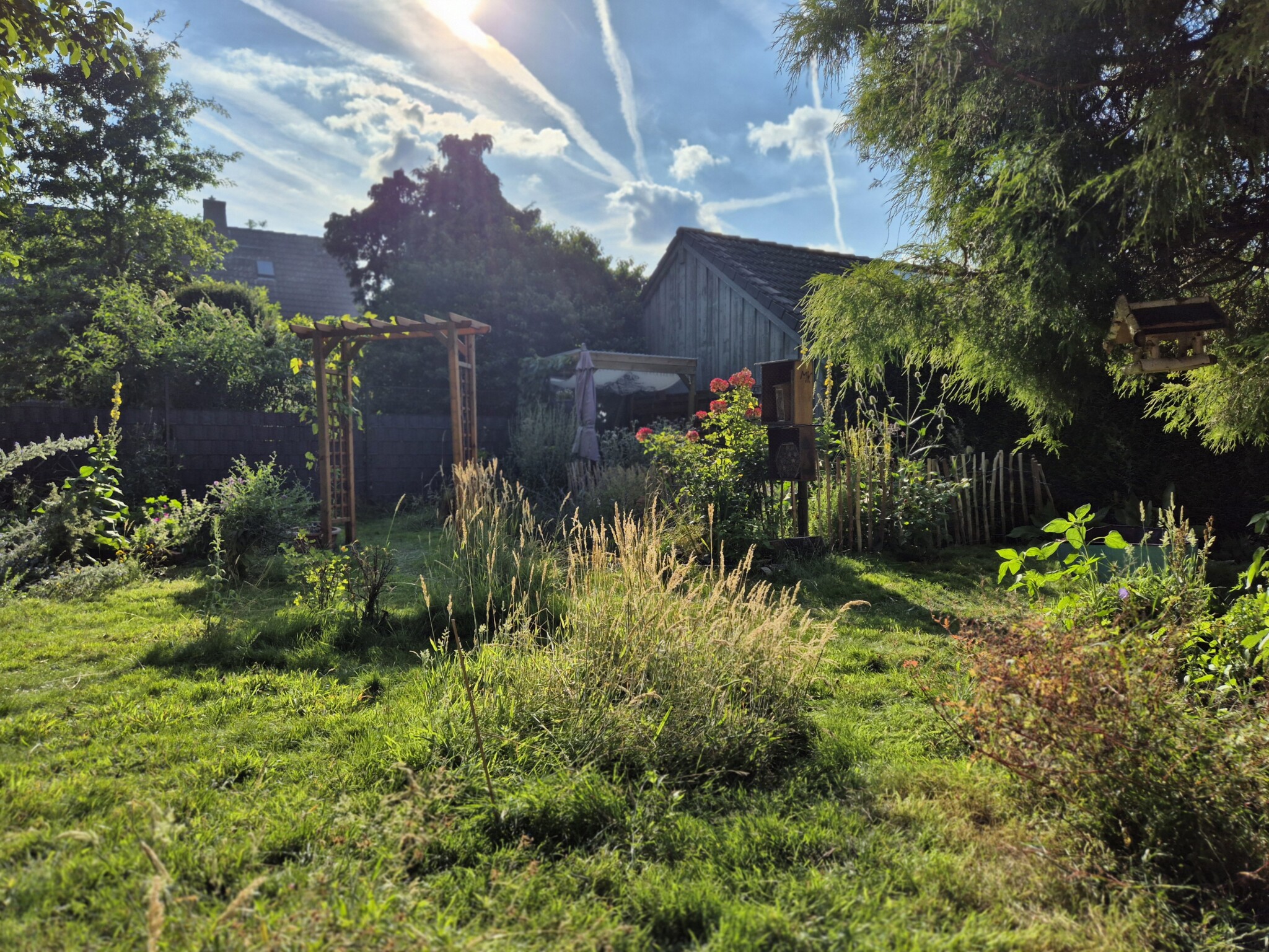 Der Wandel vom toten Garten in ein Insektenparadies