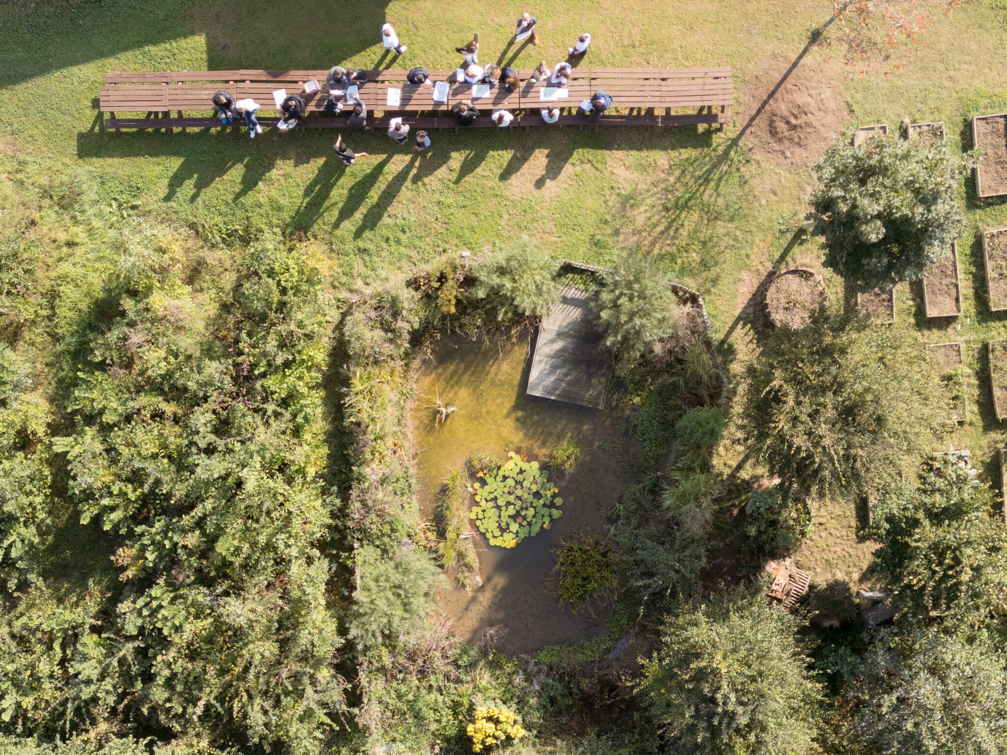 Bienen willkommen! Unser Tiny Forest lebt auf