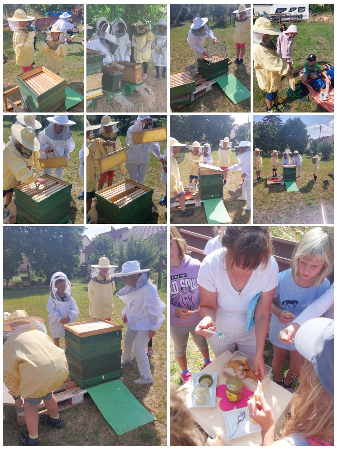 Bienen Imker Projekt